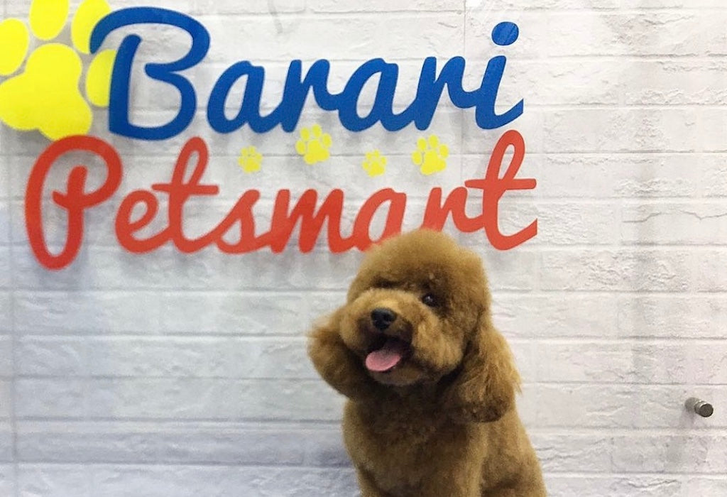 Barari Petsmart 