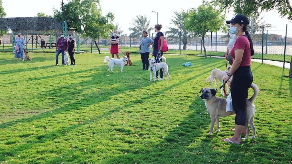 Ras Al Khaimah Animal Welfare Centre